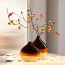 GobekUsa Gradient Glass Vase Hydroponics Terrarium Flower Home Decor