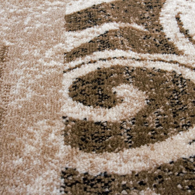 Brown Beige Designer Rug for Living Room