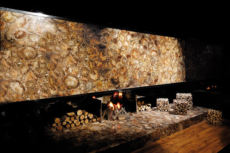 Brown Petrified Wood Precious Stone