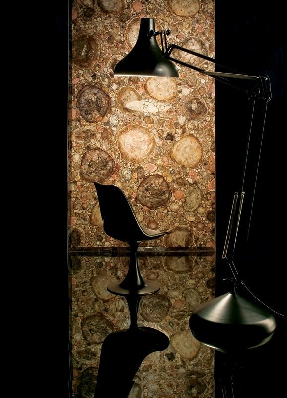 Brown Petrified Wood Precious Stone