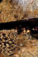 Brown Petrified Wood Precious Stone