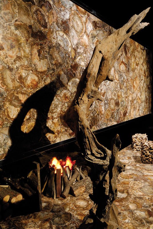 Brown Petrified Wood Precious Stone