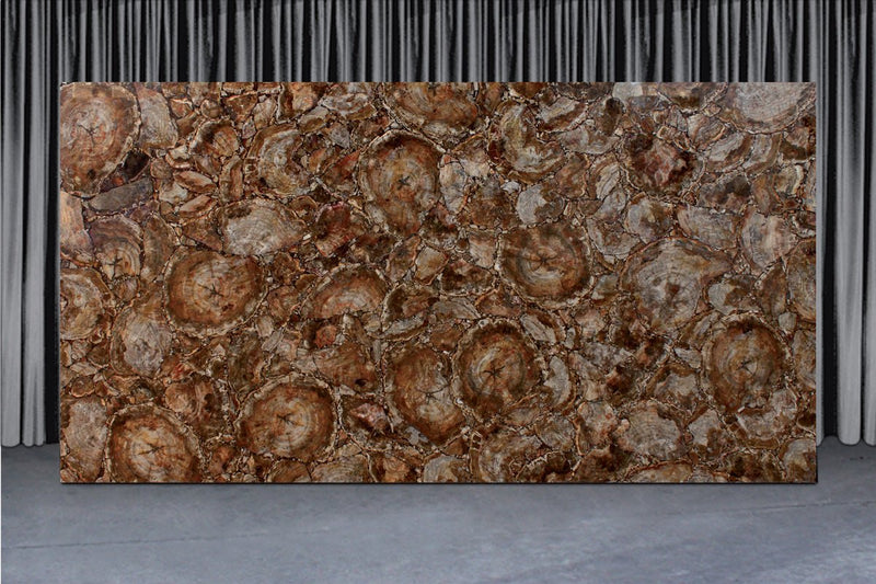 Brown Petrified Wood Precious Stone