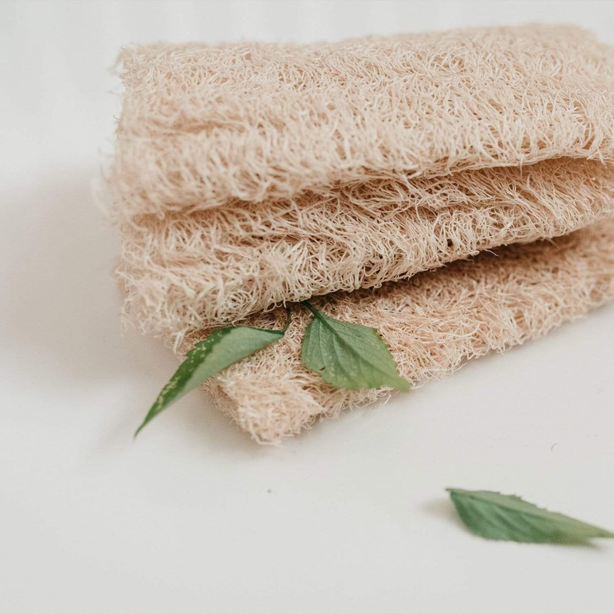 Loofah Sponge Pack, photo 3 of 6