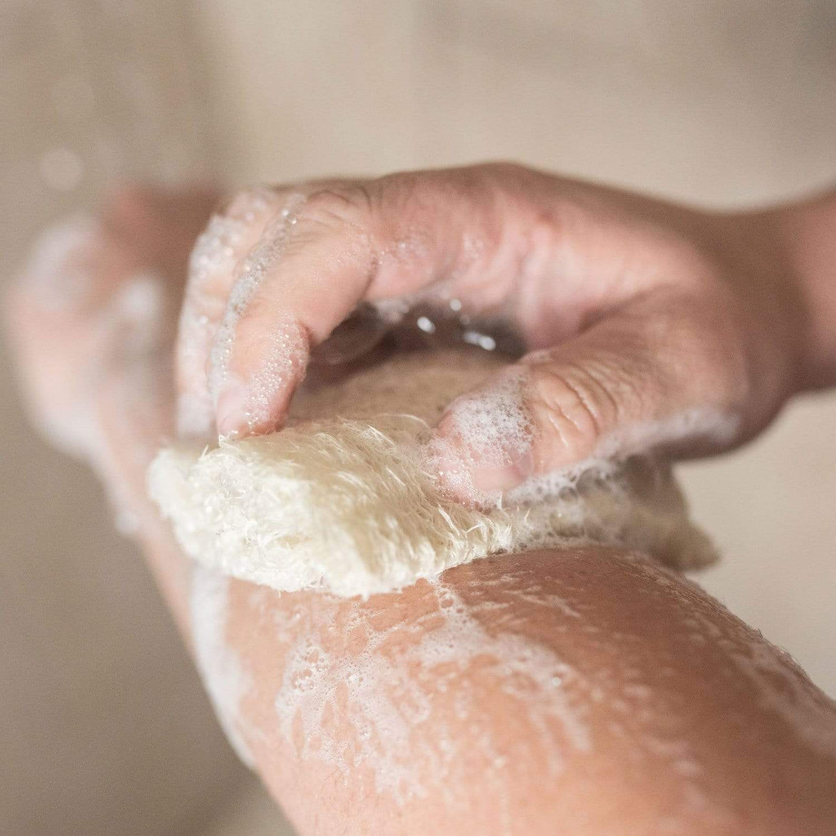 Loofah Sponge Pack, photo 4 of 6