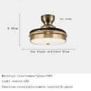 GobekUsa Brushed Copper LED Ceiling Fan with Remote Control - 6 Speeds