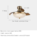 GobekUsa Brushed Copper LED Ceiling Fan with Remote Control - 6 Speeds