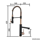 GobekUsa Brushed Gold Kitchen Faucet with Pull Down Spring Spout for Hot Cold Water