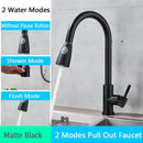 GobekUsa Brushed Nickel Pull Out Kitchen Faucet with Flexible Stream Sprayer Head