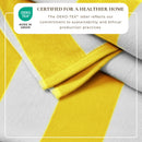 Cotton Velour Cabana Stripe Beach Towel - Novia Collection by Great Bay Home