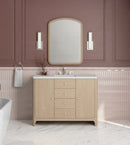 James Martin Gracyn 48" Single Bathroom Vanity, Coastal Driftwood