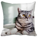 Bubble black cats white square cushion cover living room pillow case by Decorbites