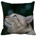 Bubble black cats white square cushion cover living room pillow case by Decorbites