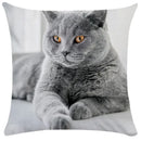 Bubble black cats white square cushion cover living room pillow case by Decorbites