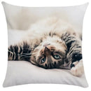 Bubble black cats white square cushion cover living room pillow case by Decorbites
