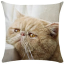 Bubble black cats white square cushion cover living room pillow case by Decorbites