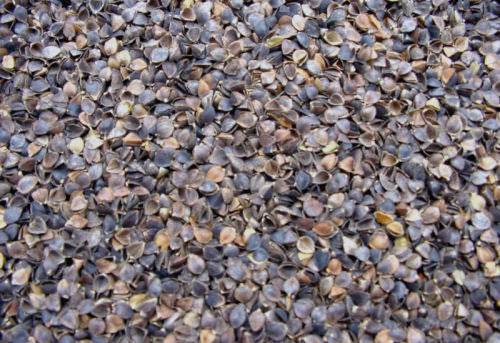 Buckwheat Hulls -Craft, Pillow, Cushion Fill - Organically grown in USA