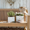 Rustic Cream Mushroom Embossed Metal Buckets, Set of Two by Decor Steals