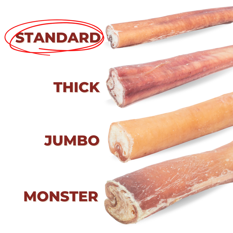 6 Inch Standard Bully Stick