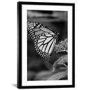 Butterfly Kisses Print