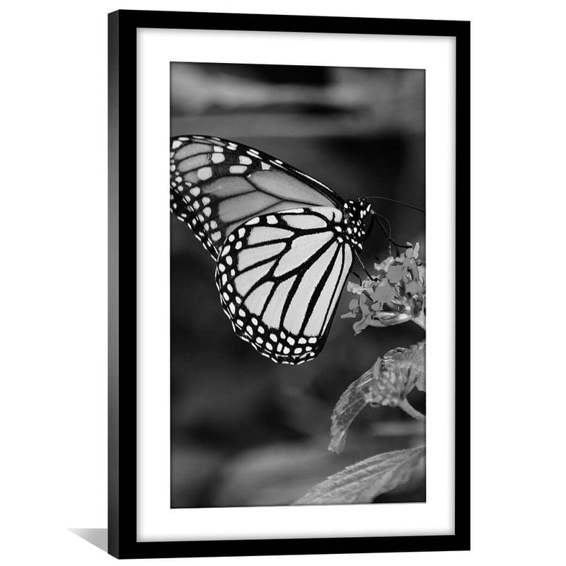 Butterfly Kisses Print