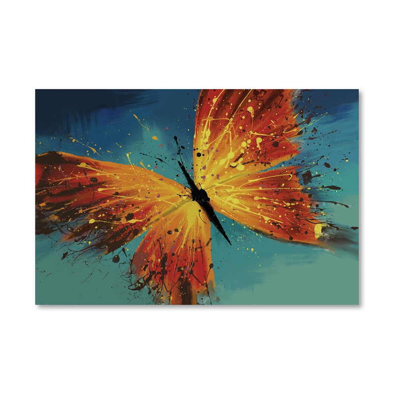 Butterfly Splash Canvas