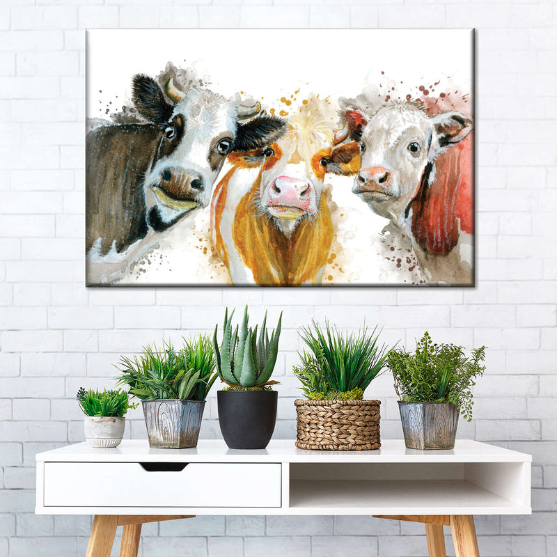 Livestock Cows Splash Wall Art