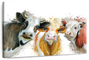 Livestock Cows Splash Wall Art