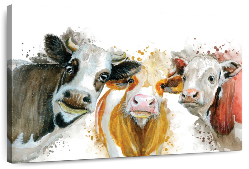 Livestock Cows Splash Wall Art