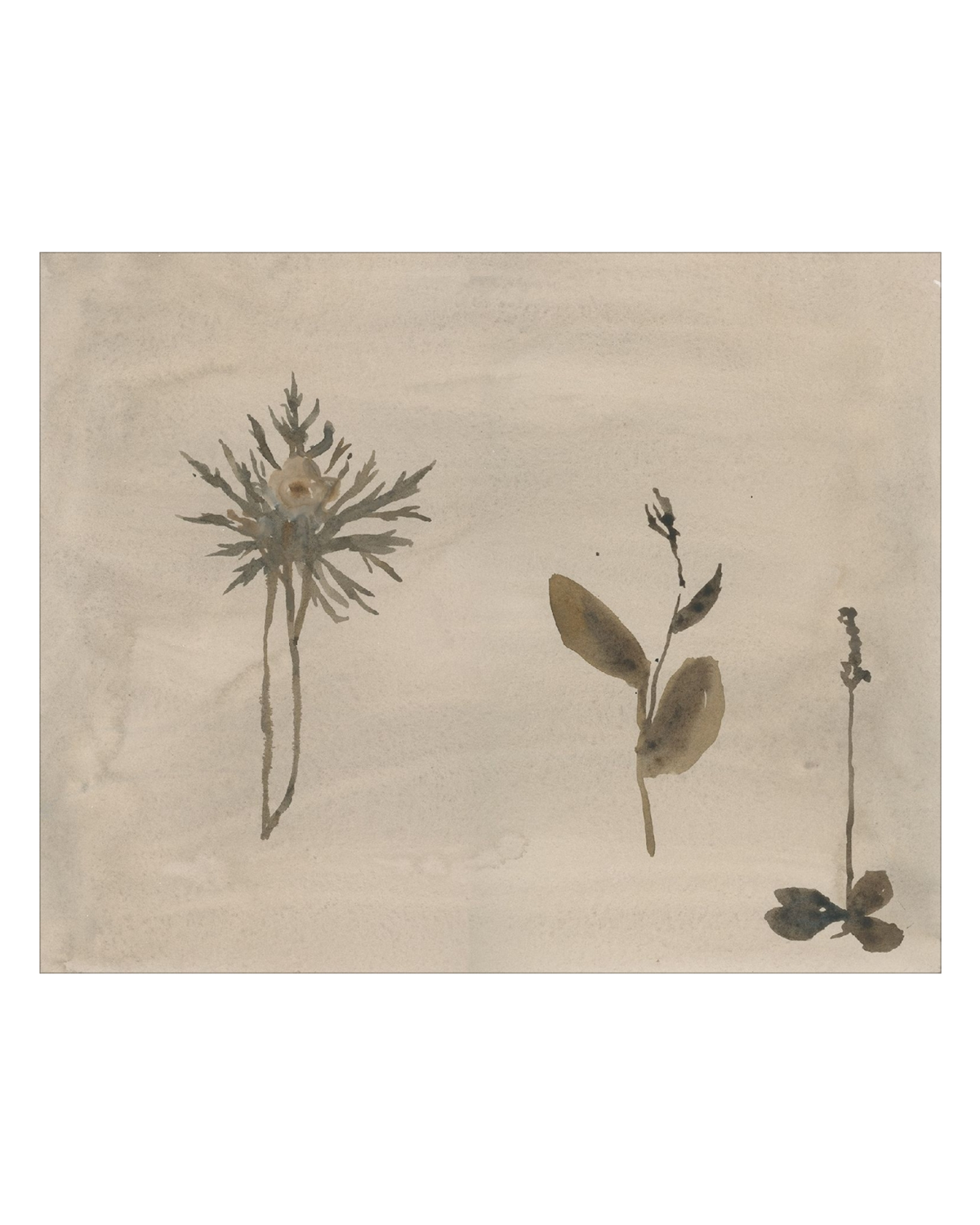 Botanical Thoughts IV, photo 16 of 25