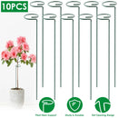 Garden Plant Support Stakes for Single Stem by LJGDeals