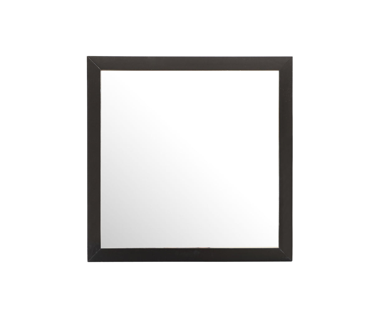 Burlington - Modern Design Transitional Wall Mirror, photo 16 of 17