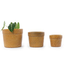 Handmade Ceramic Planter Set of 3