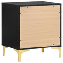2 Drawer Rectangular Nightstand - Black by HouseOfZazla