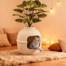 Stylish Cat Litter Box Enclosure with Faux Plant