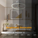 19.7in Ceiling Fan with 60W Light RoundÊPendant Fan Lamp LED Ceiling Fan with 6-Fan Speed 3000-6500W Light Color Adjustment Remote Control Timer APP C