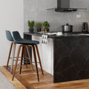 Randolph Bentwood - Counter / Bar Height Stool (Set of 2) by HouseOfZazla
