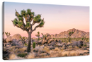 Joshua Tree Patch Wall Art