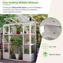 TOPMAX 78-Inch Wooden Greenhouse with Skylights and Folding Shelves by HouseOfZazla