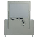 Gunnison 6-drawer Dresser with Mirror Silver Metallic