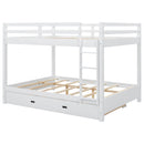 Sturdy Bunk Bed With Ladder by HouseOfZazla