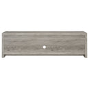 Conifer - TV Stand With Adjustable Shelves - Gray by HouseOfZazla