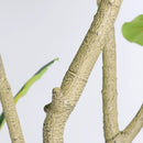 7FT Artificial Fiddle Leaf Fig Tree, Realistic Faux Potted Plant by HouseOfZazla