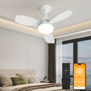 24.4" Modern Ceiling Fan with Light by HouseOfZazla