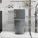 1 Piece Toilet With Tornado Flush, Dual Flush, And ADA Height Comfort Chair by HouseOfZazla