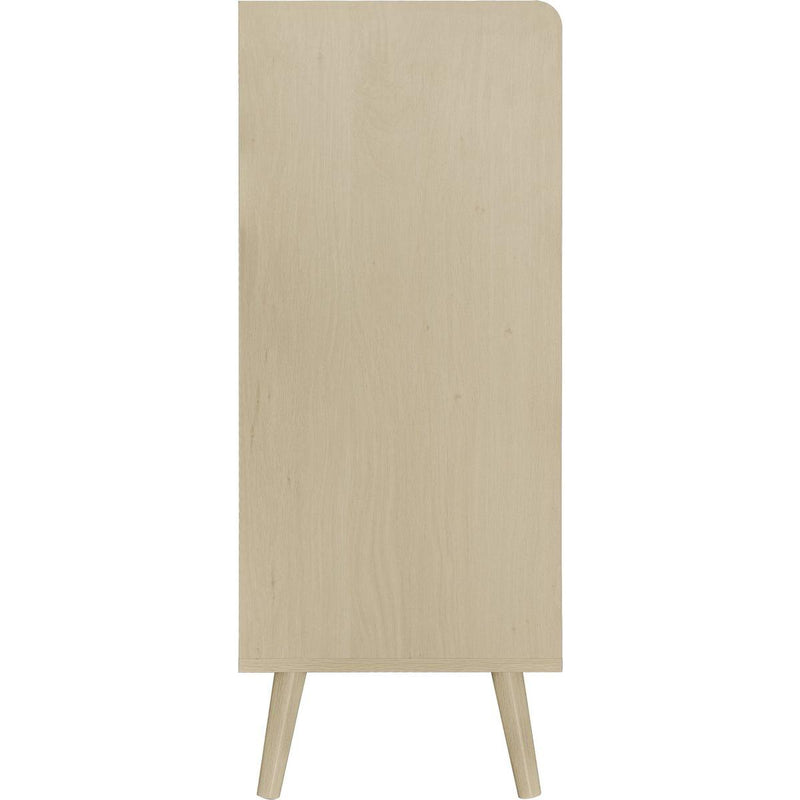 2 Door Shoe Rack, Freestanding Modern Shoe Storage Cabinet, for Entryway