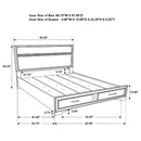 Orchid - Storage Panel Bed by HouseOfZazla