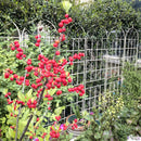 Metal Garden Rustproof Trellis For Climbing Plants Outdoor Flower Support by HouseOfZazla