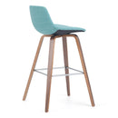 Randolph Bentwood - Counter / Bar Height Stool (Set of 2) by HouseOfZazla