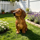 26'' Brown Dachshund Statue